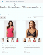 product_option_image_pro.gif